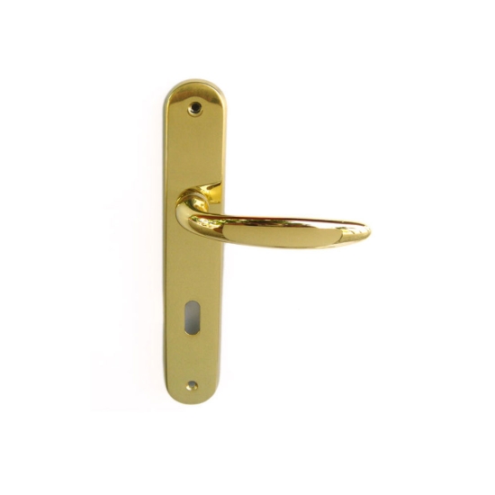 Εικόνα της Πόμολο Πόρτας Με Πλάκα (75mm) Cottali Dro Ζεύγος Χρυσό