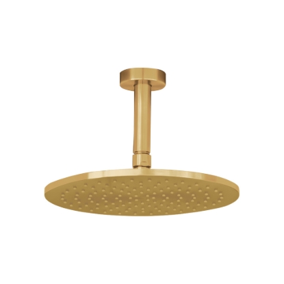 Εικόνα της Ανακλινόμενη Κεφαλή La Torre Inox 316 Ø25 Με Μπράτσο Οροφής 10cm N50025-211 + N11000-211 Gold Brushed PVD