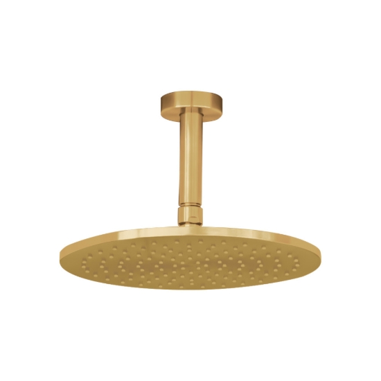 Εικόνα της Ανακλινόμενη Κεφαλή La Torre Inox 316 Ø25 Με Μπράτσο Οροφής 10cm N50025-211 + N11000-211 Gold Brushed PVD