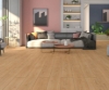 Εικόνα της Δάπεδο Laminate Floorpan Elite XL 4V 12mm 012 PEKING NewPlan