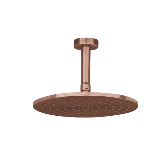 Εικόνα της Ανακλινόμενη Κεφαλή La Torre Inox 316 Ø25 Με Μπράτσο Οροφής 10cm N50025-811 + N11000-811 Rose Gold Brushed PVD