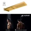 Εικόνα της Επίτοιχη Κεφαλή 2 Ροών 19,2x5,5cm Almar Smart Shower Head E044199-211 Gold Brushed PVD