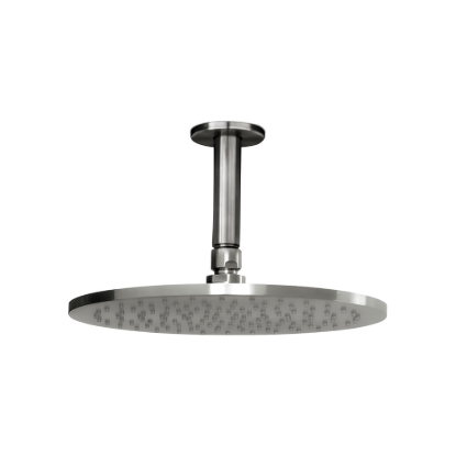 Εικόνα της Ανακλινόμενη Κεφαλή La Torre Inox 316 Ø25 Με Μπράτσο Οροφής 10cm N50025-111 + N11000-111 Inox Brushed