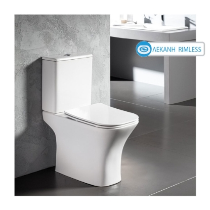 Εικόνα της Λεκάνη Bianco Ceramica Delia Χ.Π. 65cm Rimless Κομπλέ Με Slim Soft Close Κάλυμμα DL12000SC-300