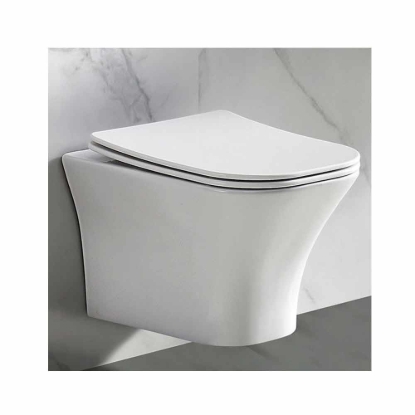Εικόνα της Λεκάνη Κρεμαστή Bianco Ceramica Delia DL11000SC-300 49cm Με Slim Soft Close Κάλυμμα